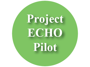 Project ECHO Pilot Button