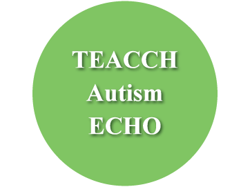 TEACCH Autism ECHO Button